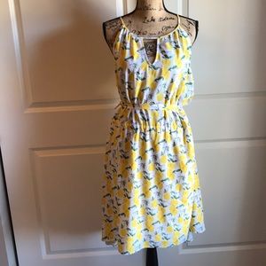 🍋🍋🍋🍋Patterned Pixley Dress🍋🍋🍋